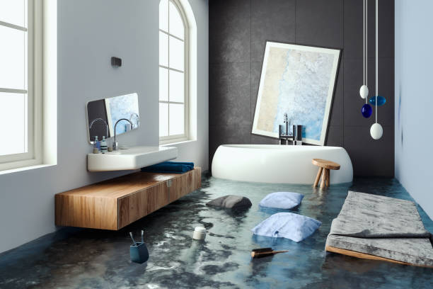 Best Water damage restoration company  in Burlington, KS